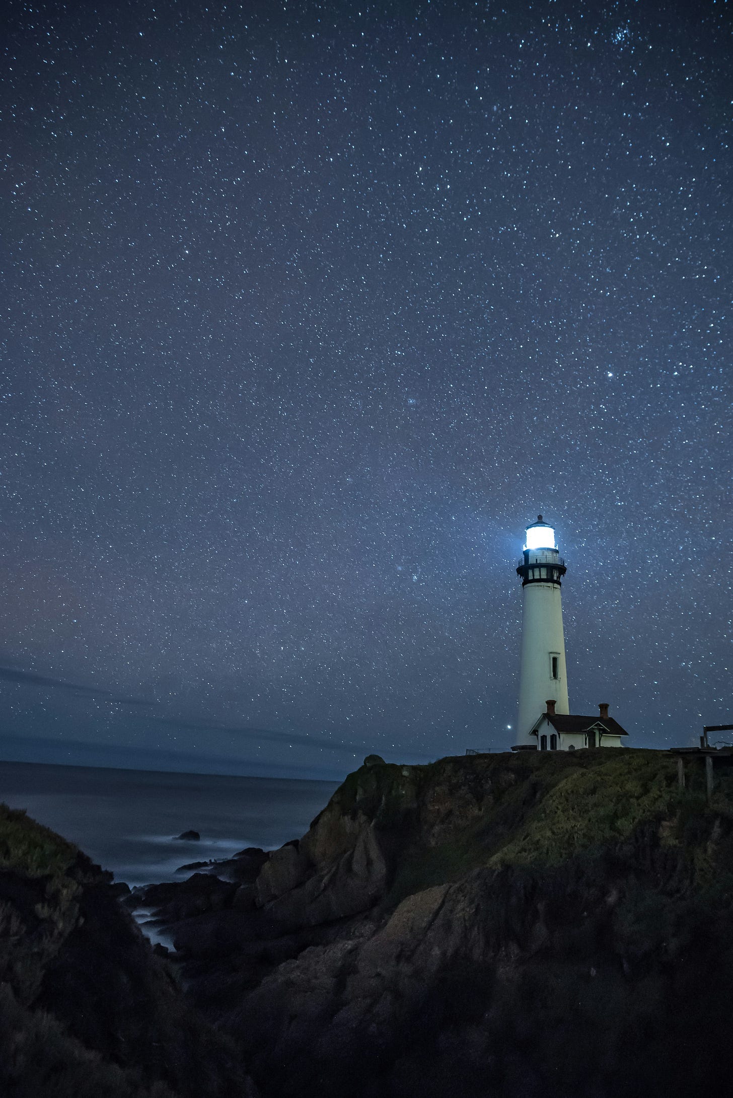 Your Beautiful Idiocy Is a Lighthouse