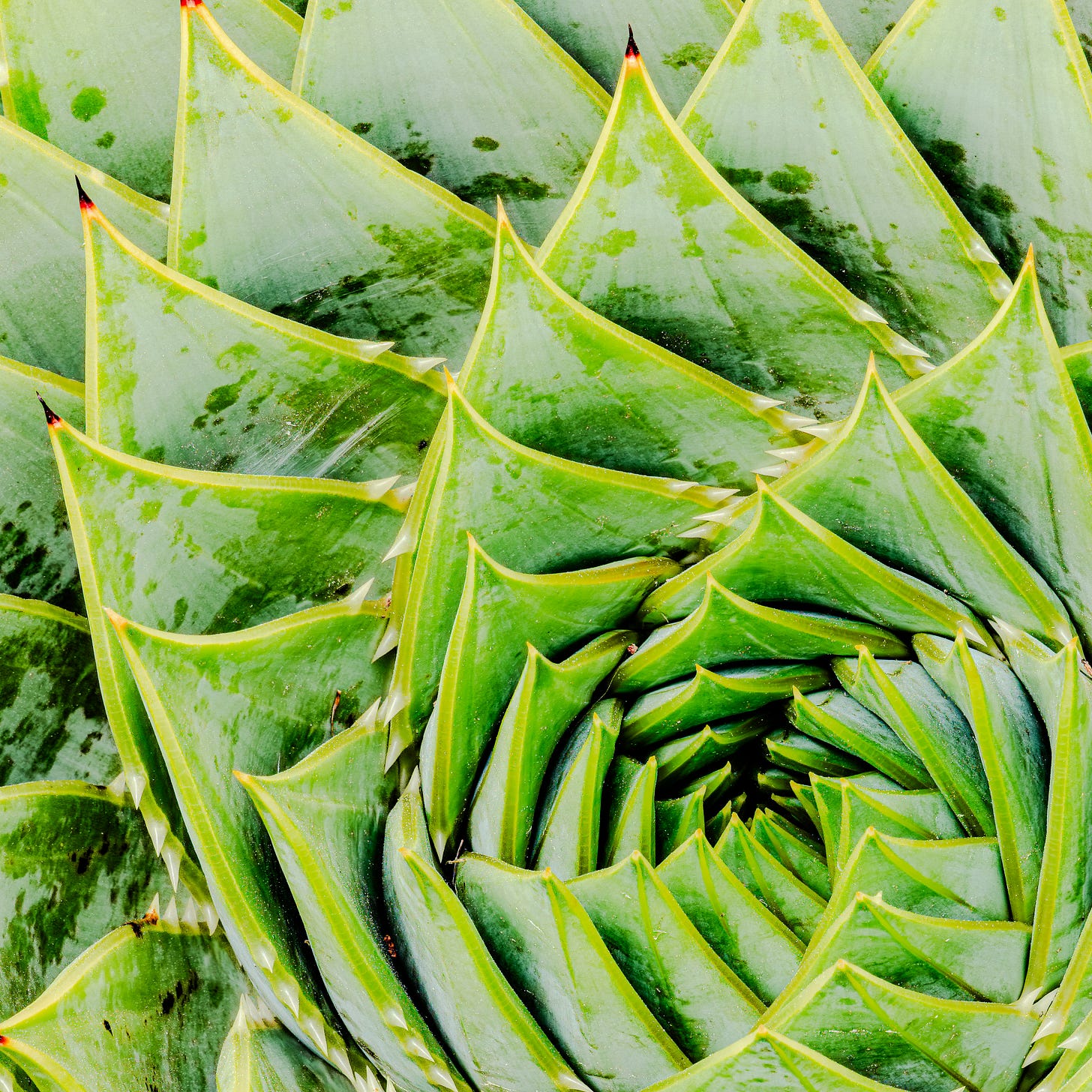 Meaning Is a Spiral, Not a Destination