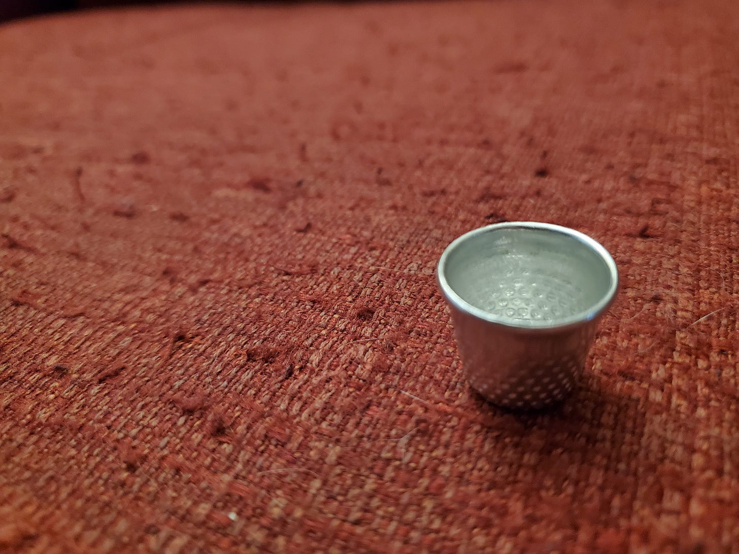 Negotiating My Hippo Into a Thimble