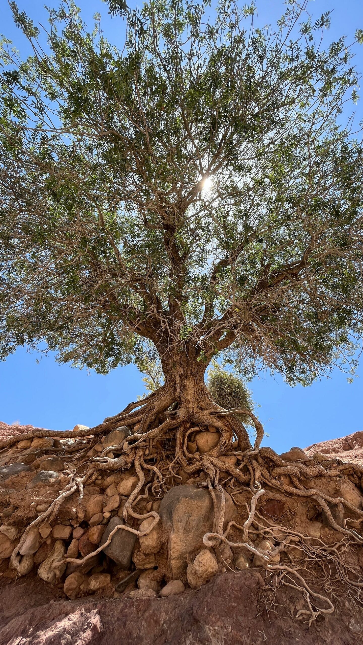 Invisible Growth Doesn’t Mean It’s Dead
